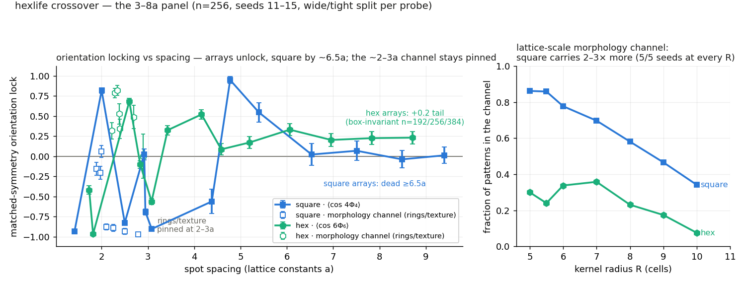 The lattice's teeth: when the substrate owns the pattern
